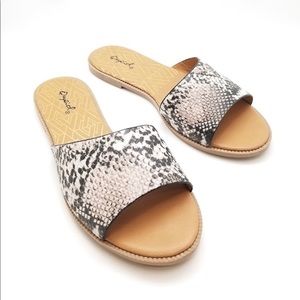 Snakeskin slides